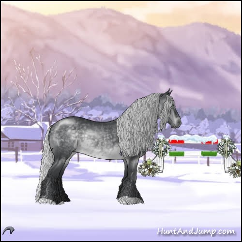 Horse Color:Silver Black Chinchilla Rabicano 