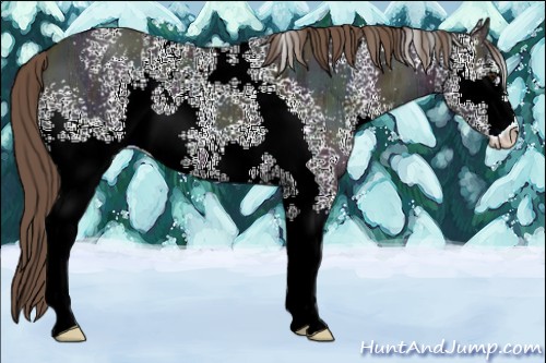 Horse Color:White Spotted Midnight Black Ice Pearl Sabino