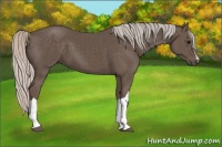 Horse Color:Silver Black 