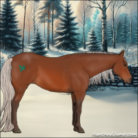 Horse Color:Silver Brown 