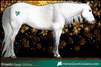 Horse Color:Gray Brown Roan 