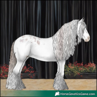 Horse Color:White Spotted Brown Pearl Sabino Splash Appaloosa 