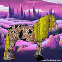 Horse Color:Painted Chestnut Sabino Appaloosa 
