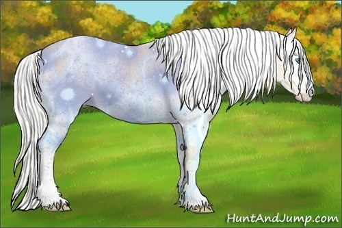 Horse Color:White Spotted Silver Perlino