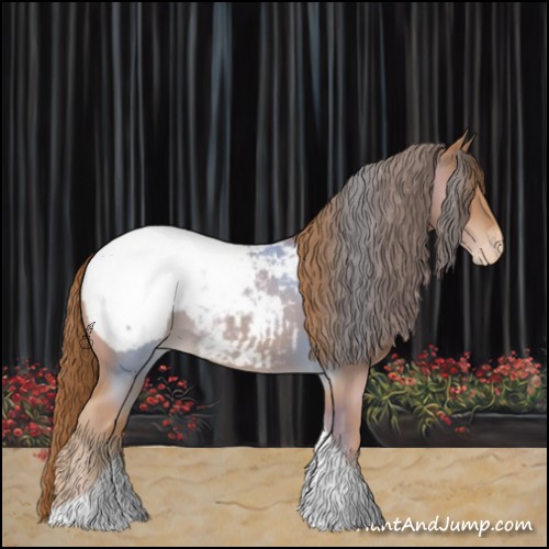 Horse Color:Chestnut Tobiano Appaloosa 