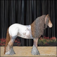 Horse Color:Chestnut Tobiano Appaloosa 
