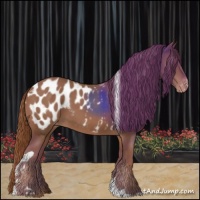 Horse Color:Chestnut Tobiano Appaloosa
