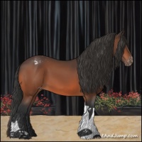 Horse Color:Bay Tobiano Appaloosa