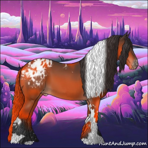 Horse Color:Bay Tobiano Appaloosa 