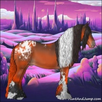 Horse Color:Bay Tobiano Appaloosa