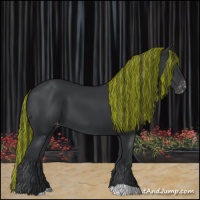 Horse Color:Painted Black Appaloosa 