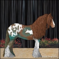 Horse Color:Chestnut Sabino Tobiano Blanket