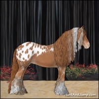 Horse Color:White Spotted Chestnut Blanket 