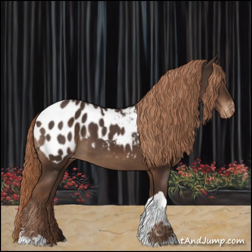 Horse Color:Liver Chestnut Tobiano Appaloosa 