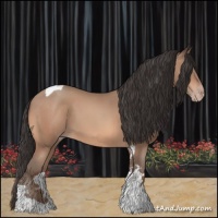 Horse Color:Sable Champagne Tobiano 