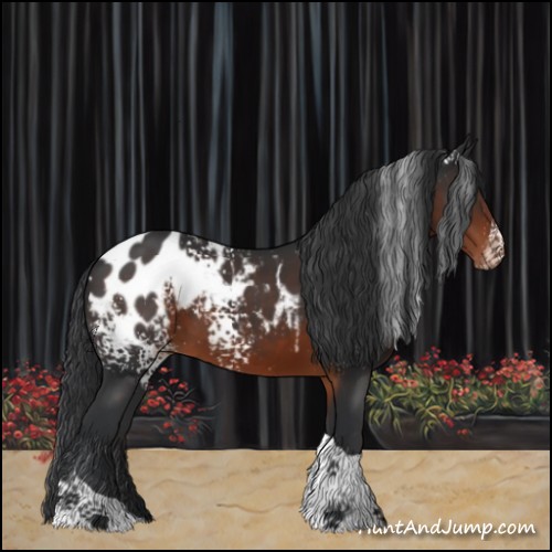 Horse Color:White Spotted Brown Tobiano Blanket