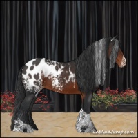 Horse Color:White Spotted Brown Tobiano Appaloosa