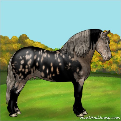 Horse Color:Void White Spotted Chocolate Palomino Ice Tobiano Appaloosa Rabicano 