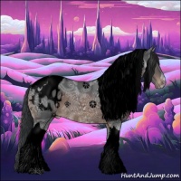 Horse Color:Void Brown Ice Tobiano Appaloosa 