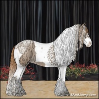 Horse Color:Chestnut Ice Pearl Sabino Splash Tobiano Appaloosa 