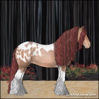 Horse Color:Painted Amber Champagne Tobiano Blanket