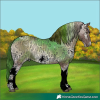 Horse Color:White Spotted Red Onyx Ice Tobiano Rabicano 