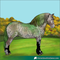 Horse Color:White Spotted Red Onyx Ice Tobiano Rabicano 
