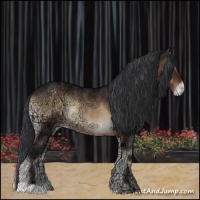 Horse Color:Brown Ice Onyx Appaloosa Rabicano