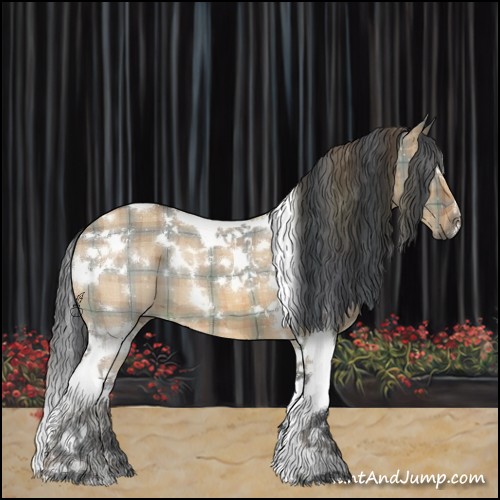 Horse Color:Plaid  White Spotted Bay Dun Tobiano 