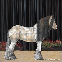 Horse Color:Plaid  White Spotted Bay Dun Tobiano 