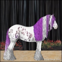 Horse Color:Watercolor Classic Champagne Ice Onyx Splash Tobiano Near Leopard 