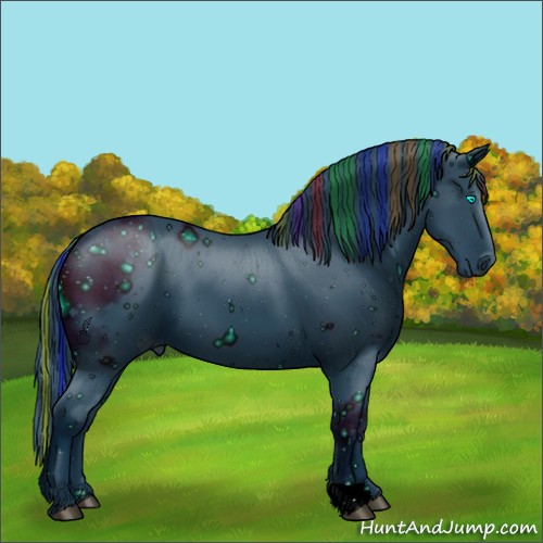 Horse Color:ERROR: UNKNOWN ANOMALY