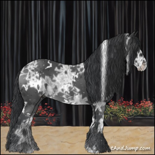 Horse Color:White Spotted Black Ice 