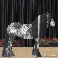 Horse Color:White Spotted Black Ice 