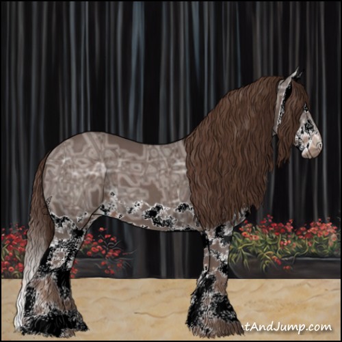 Horse Color:Liver Chestnut Ice Splash 