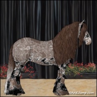 Horse Color:Liver Chestnut Ice Splash 