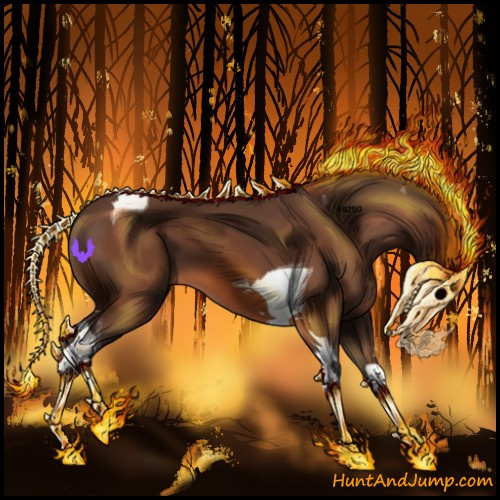 Horse Color:Bay Tobiano 