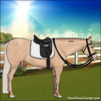 Horse Color:Silver Sable Champagne 