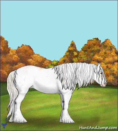 Horse Color:Palomino Sabino
