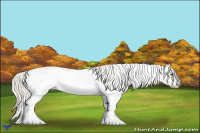 Horse Color:Palomino Sabino