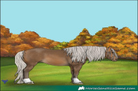 Horse Color:Silver Buckskin 