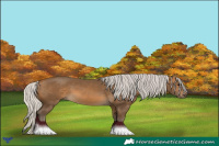 Horse Color:Silver Buckskin