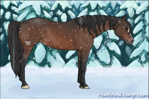 Horse Color:Brown Mushroom Snowflake Varnish