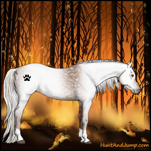 Horse Color:Gray Silver Black Pearl Tobiano 