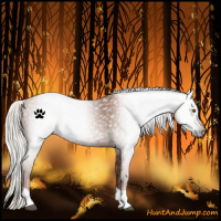 Horse Color:Gray Silver Black Pearl Tobiano 