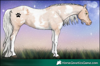 Horse Color:White Spotted Silver Brown Pearl Tobiano Varnish