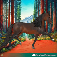 Horse Color:Brown 