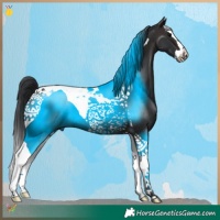Horse Color:Brown Splash Tobiano 
