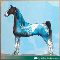 Horse Color:Brown Splash Tobiano 
