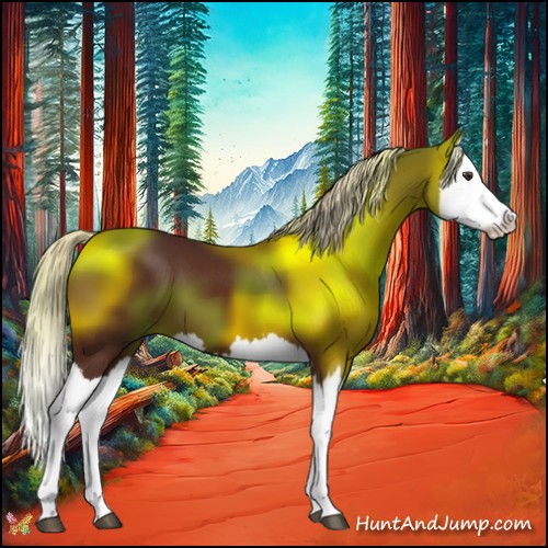 Horse Color:Silver Brown Splash